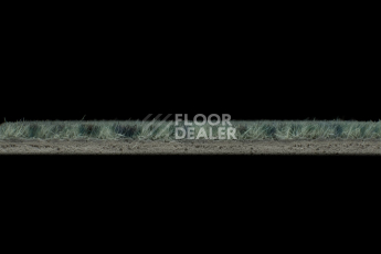 Forbo Flotex Colour s 290009 Calgary Moss фото 3 | FLOORDEALER