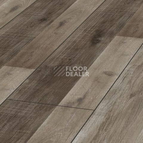Ламинат Kronotex Exquisit Plus d4997 Дуб Прекрасный фото 1 | FLOORDEALER