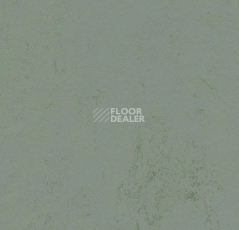 Линолеум Forbo Marmoleum Decibel 375135 tundra фото 1 | FLOORDEALER