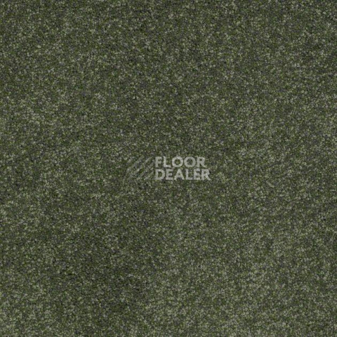 Ковролин Shaw Design Texture Platinum 325 фото 1 | FLOORDEALER