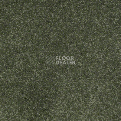 Ковролин Shaw Design Texture Platinum 325 фото 1 | FLOORDEALER
