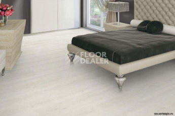 Wood OAK POLAR WHITE фото 3 | FLOORDEALER