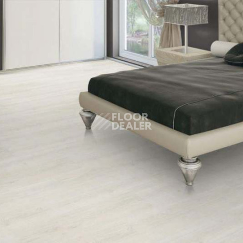 Wood OAK POLAR WHITE фото 3 | FLOORDEALER