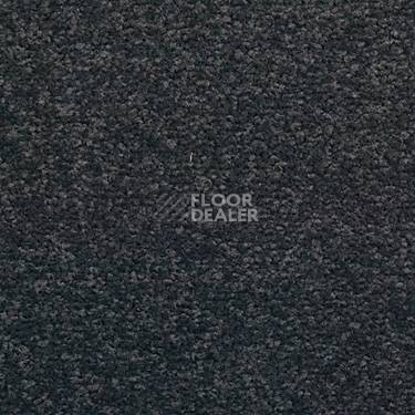 Ковровая плитка Modulyss Cambridge 965 фото 1 | FLOORDEALER