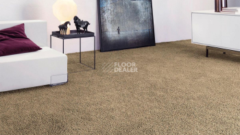 Vorwerk Superior 1041 Vorwerk 8j894 фото 2 | FLOORDEALER