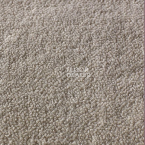 Ковролин Jacaranda Carpets Rajgarh Pearl фото 1 | FLOORDEALER