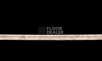 Tarkett Primo Plus 301 фото 3 | FLOORDEALER