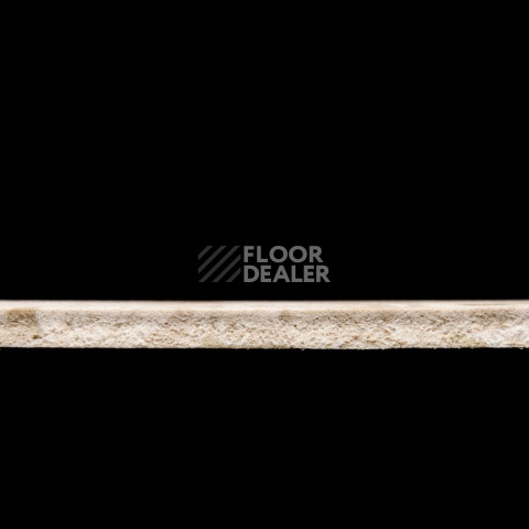 Tarkett Primo Plus 301 фото 3 | FLOORDEALER