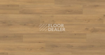 Ламинат Haro Tritty 100 Campus 4V ДУБ ЭМИЛИЯ МЕДОВЫЙ 541541 фото 1 | FLOORDEALER