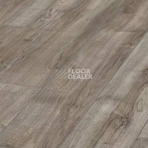Ламинат Kronotex Aqua Amazone 10мм D3662 Дуб Монтмело серебряный фото 1 | FLOORDEALER