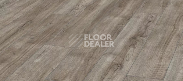 Ламинат Kronotex Aqua Amazone 10мм D3662 Дуб Монтмело серебряный фото 1 | FLOORDEALER