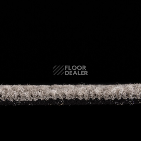 IVC Animate 731 фото 3 | FLOORDEALER