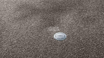 Ковролин Vorwerk Superior 1064/Lyrica Vorwerk 5x81 фото 1 | FLOORDEALER
