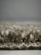 AW Westminster / Вестминстер 39 фото 6 | FLOORDEALER
