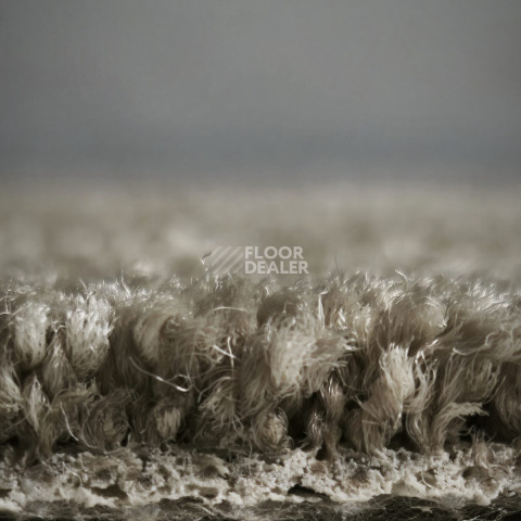 AW Westminster / Вестминстер 39 фото 6 | FLOORDEALER