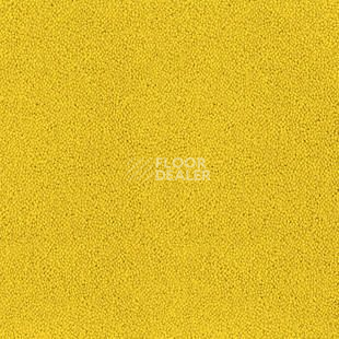 Ковролин Desso Asteranne 6116 фото 1 | FLOORDEALER
