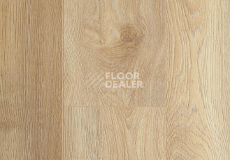 Ламинат My Floor Residence 10мм ML1008 Дуб Макро Натуральный фото 1 | FLOORDEALER