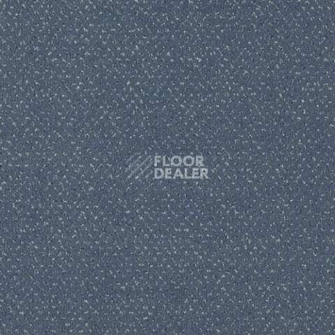 Ковролин Sintelon Orion 33739 фото 1 | FLOORDEALER