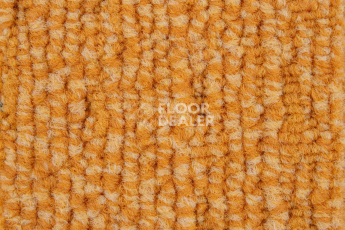 IVC Alternate 232 фото 3 | FLOORDEALER