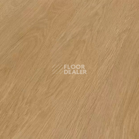 My Floor Residence 10мм ML1033 Дуб Модерна натуральный фото 3 | FLOORDEALER