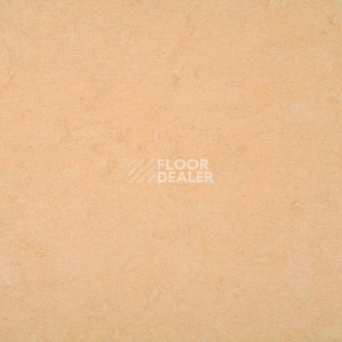 Линолеум Gerflor Marmorette DLW  2mm 0098 Desert Beige фото 1 | FLOORDEALER