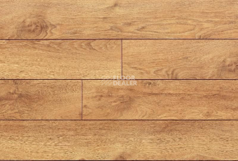 Ламинат My Step Terra Aqua Block MS148AB Дуб Рим фото 1 | FLOORDEALER