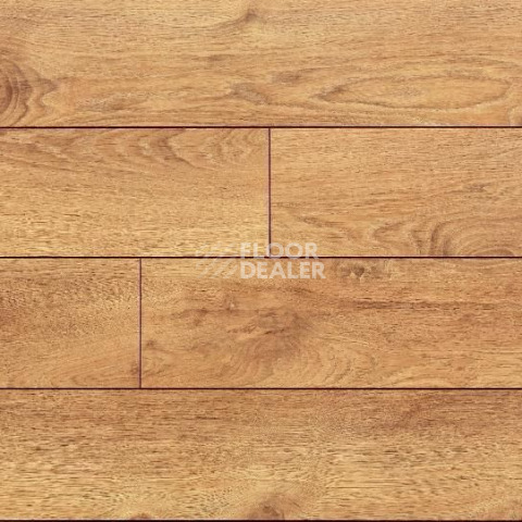 Ламинат My Step Terra Aqua Block MS148AB Дуб Рим фото 1 | FLOORDEALER