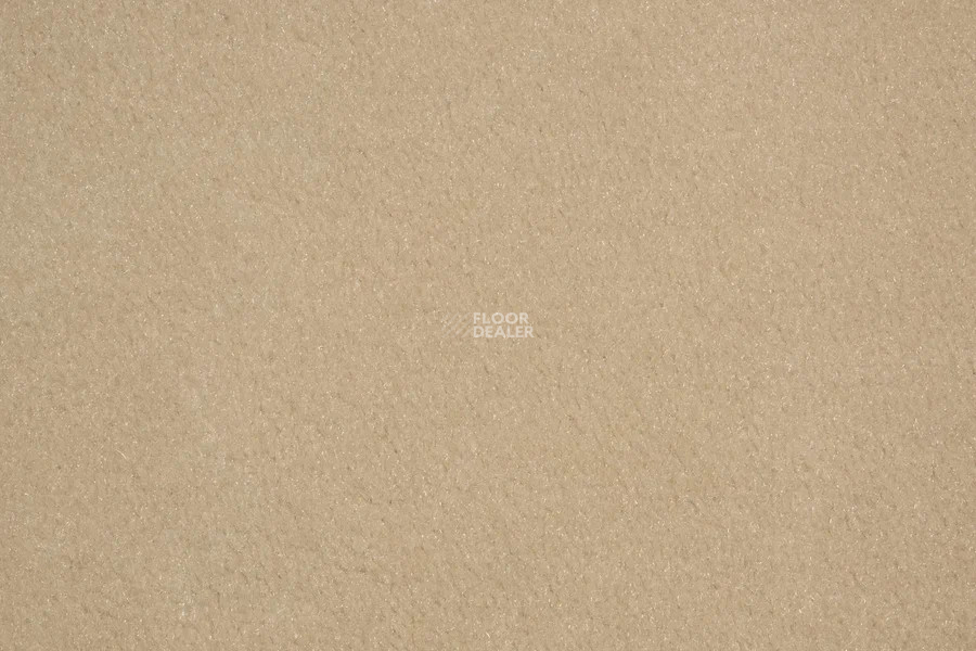 Vorwerk Passion 1000/Modena Vorwerk 8a72 фото 2 | FLOORDEALER