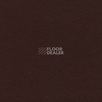 Ковролин Finett Feinwerk 403509 фото 1 | FLOORDEALER
