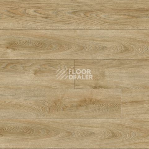 Moduleo Next Acoustic дерево VALLEY OAK 240 BO фото 4 | FLOORDEALER