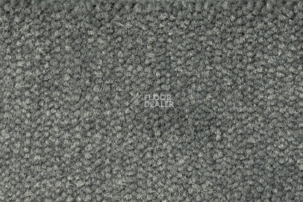 Ковролин AW Prima AW Prima 95 фото 1 | FLOORDEALER