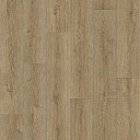 Линолеум Tarkett Praktika BRUNO_2  | FLOORDEALER