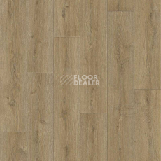 Линолеум Tarkett Praktika BRUNO_2 фото 1 | FLOORDEALER