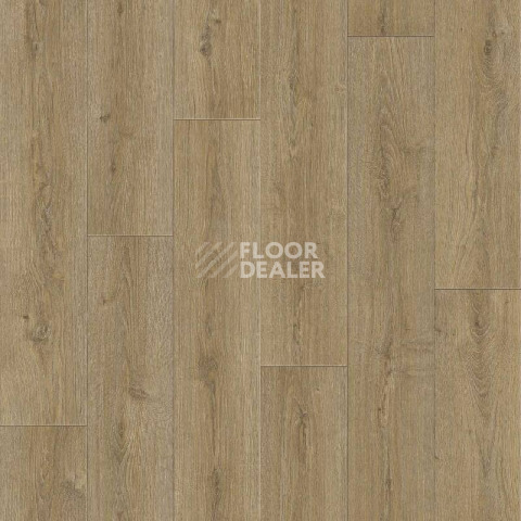 Линолеум Tarkett Praktika BRUNO_2 фото 1 | FLOORDEALER