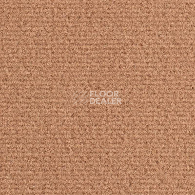 Ковролин Balsan Quick 450 фото 1 | FLOORDEALER