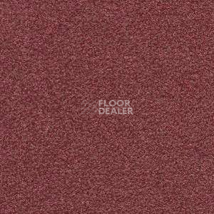 Ковролин Radici Montecarlo 3 фото 1 | FLOORDEALER