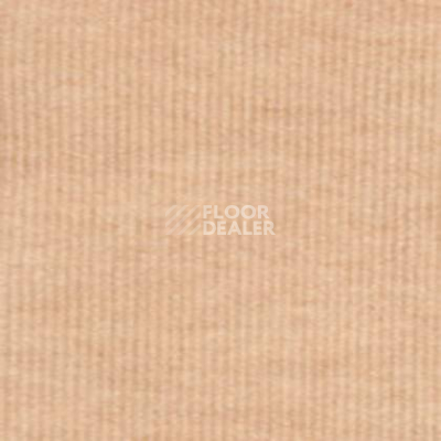 Ковролин Tapibel Secura 48104 фото 1 | FLOORDEALER