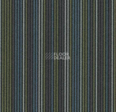 Ковровая плитка Forbo Flotex Complexity t 550004 / t 553004 Complexity Navy фото 1 | FLOORDEALER