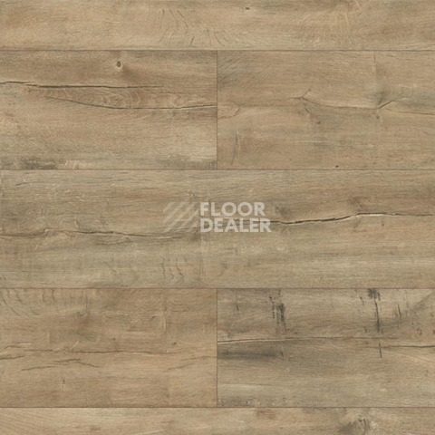 Ламинат Kronopol Platinium Terra AQUA BLOCK 8mm Kronopol Platinium Terra Aqua Block 24h Дуб Амальфи D4915 фото 1 | FLOORDEALER