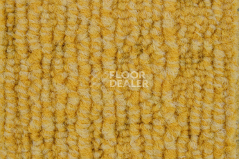 IVC Alternate 140 фото 2 | FLOORDEALER