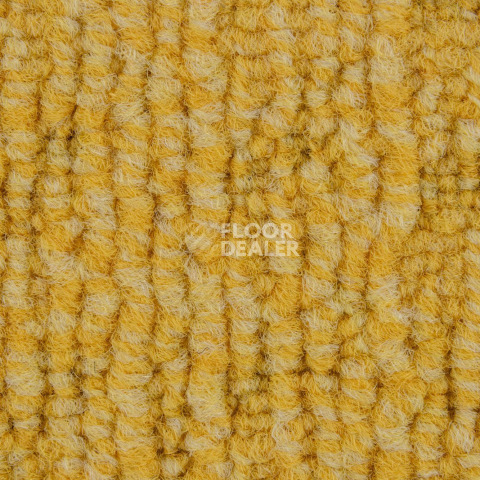 IVC Alternate 140 фото 2 | FLOORDEALER