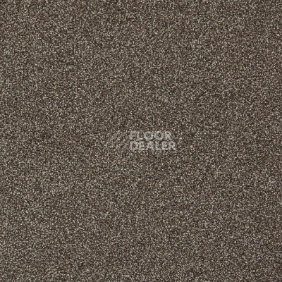 Ковролин Betap Transmit 90 фото 1 | FLOORDEALER