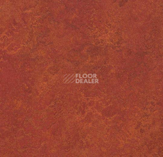 Кварцвиниловые полы Forbo Marmoleum Modular Colour 3203 фото 1 | FLOORDEALER