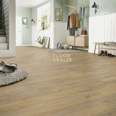 Kronotex Exquisit Plus d6009 Дуб Эльба Природный фото 2 | FLOORDEALER