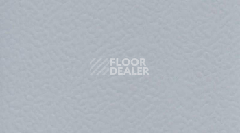 Линолеум Gerflor Taraflex evolution Uni 6758_Silver_Gray фото 1 | FLOORDEALER