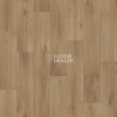 Линолеум Tarkett Acczent Pro Samson 1 фото 1 | FLOORDEALER