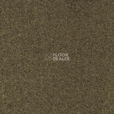 Ковролин Gleam W2W 212 Gleam w2w фото 1 | FLOORDEALER
