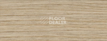 Плинтус Dollken EP 60/13 2619 фото 2 | FLOORDEALER