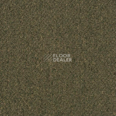 Ковровая плитка Shaw Momentum 02304 фото 1 | FLOORDEALER