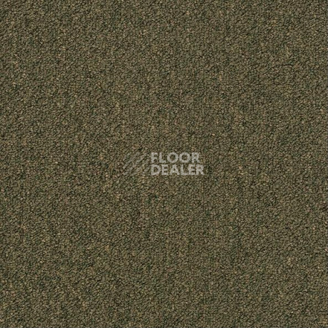 Ковровая плитка Shaw Momentum 02304 фото 1 | FLOORDEALER